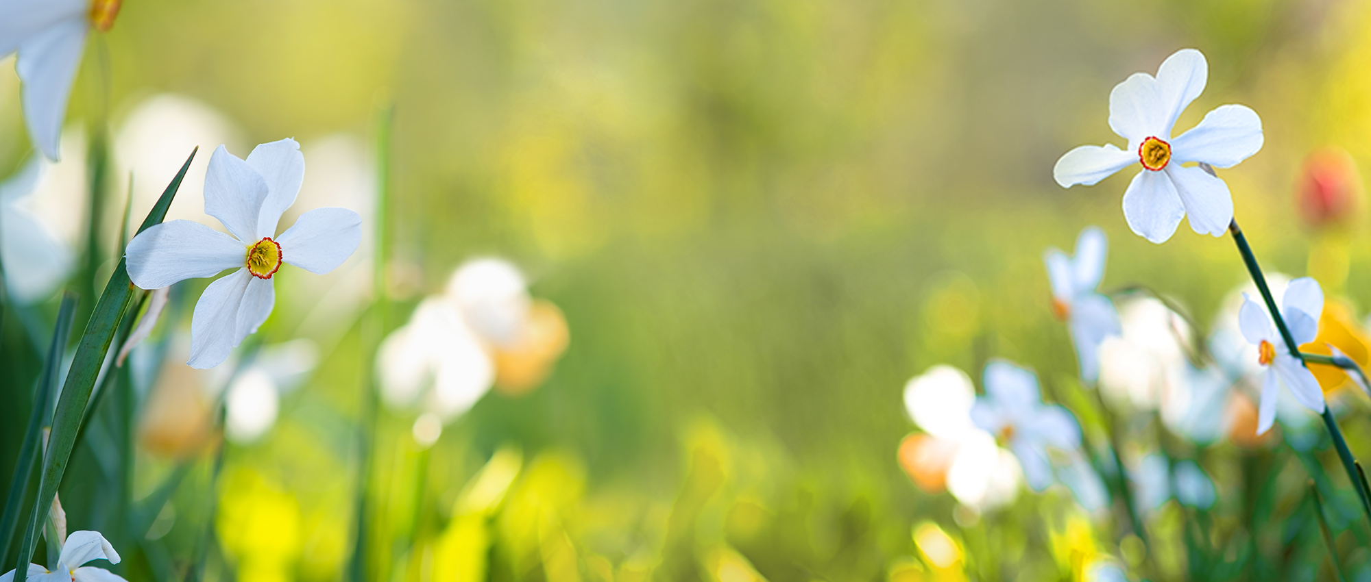 Bild: Envato bilanol