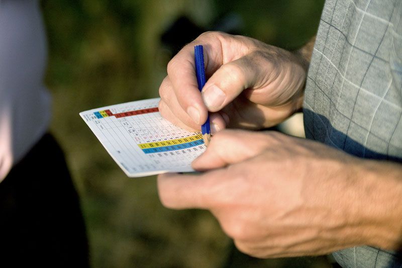 Das Handicap berechnen - gewusst wie!