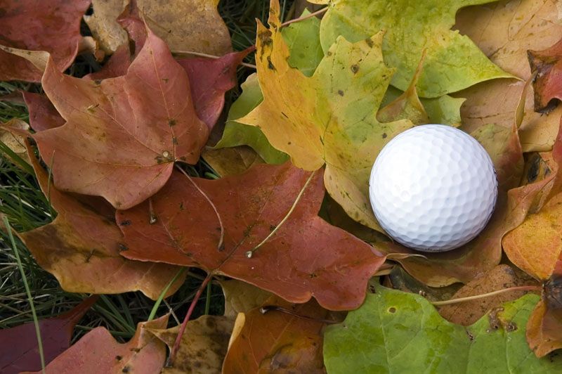 Im Herbst am Ball bleiben? Lohnt sich!