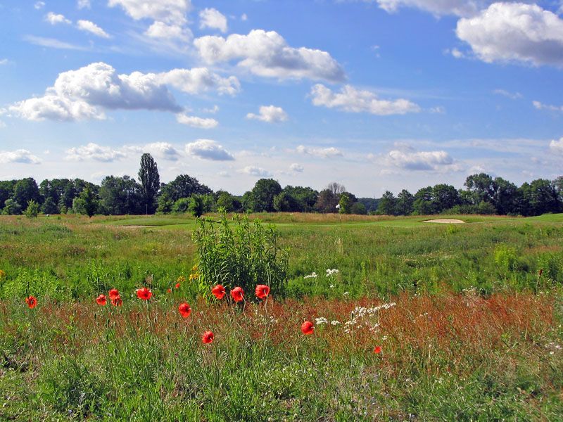 Golfplätze sind Oasen der Natur