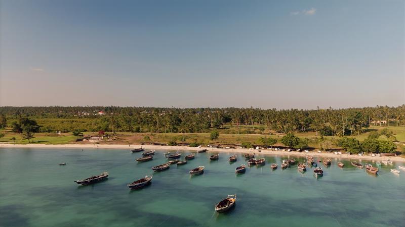 Am Nachmittag sind die Fischer zurück an Land