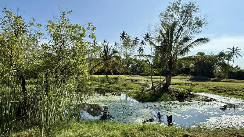 Teiche mit Seerosen und Palmen verleihen dem Kurs fast karibisches Flair