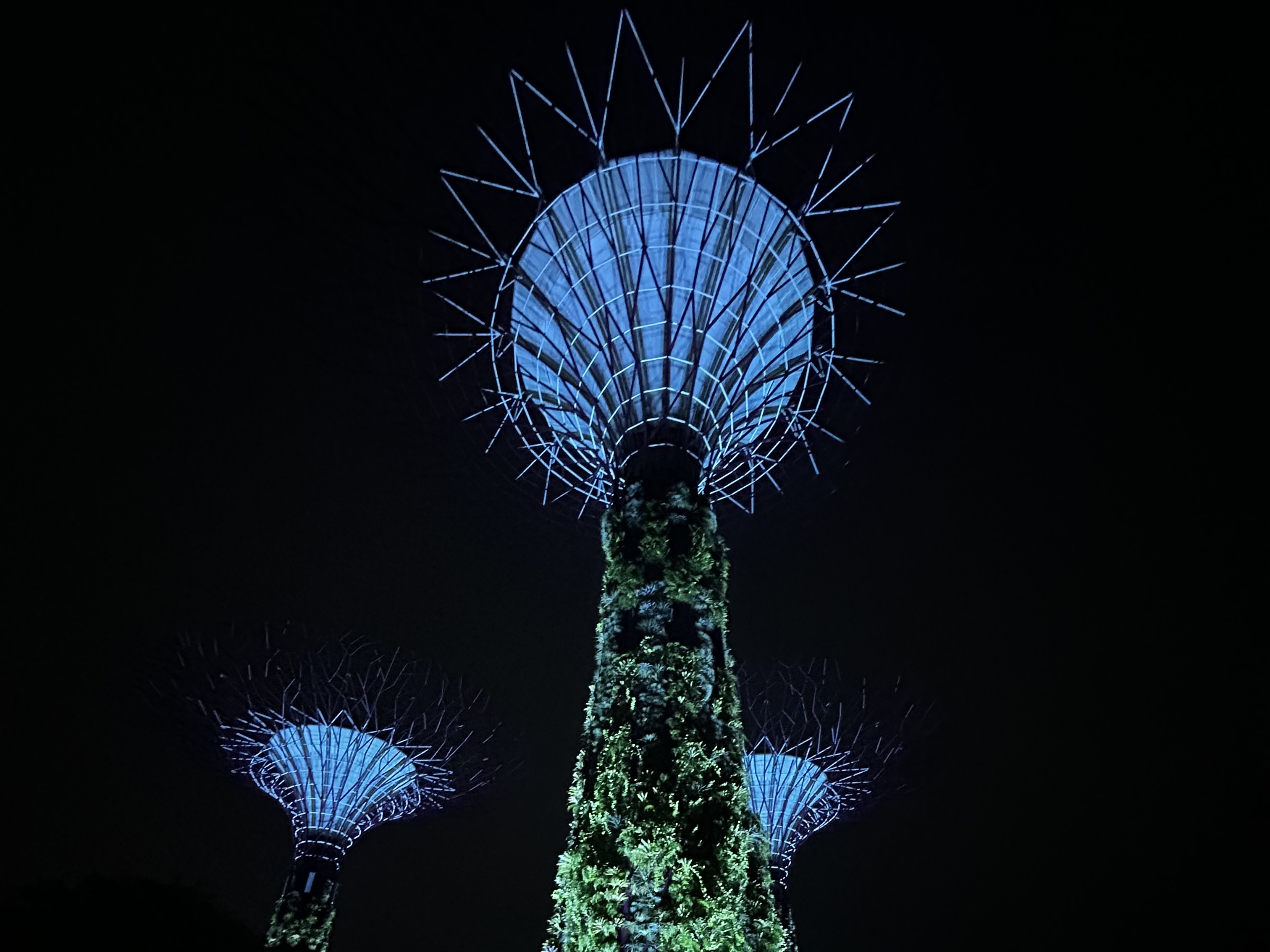 Die Super Trees
