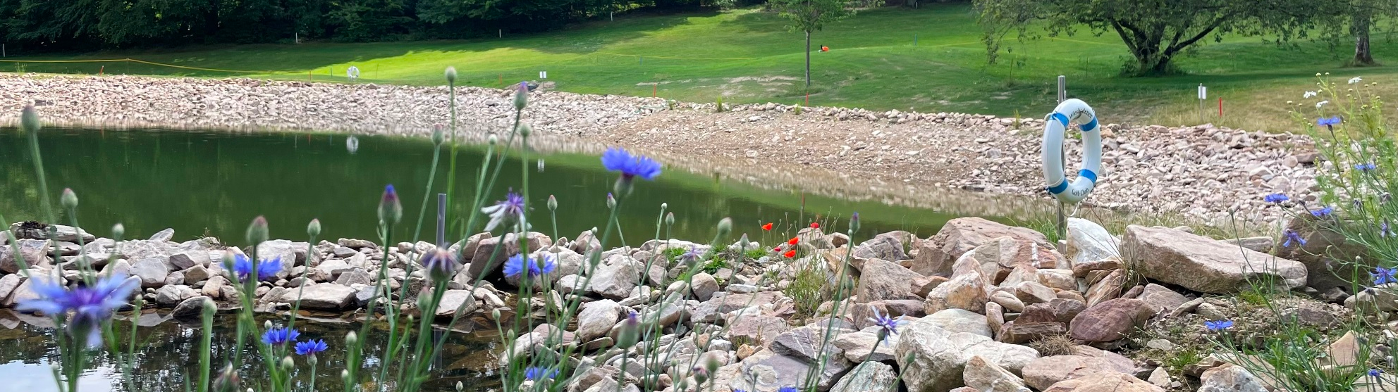 Dank Bewässerung bleiben die Anlagen ein Paradies für Flora und Fauna