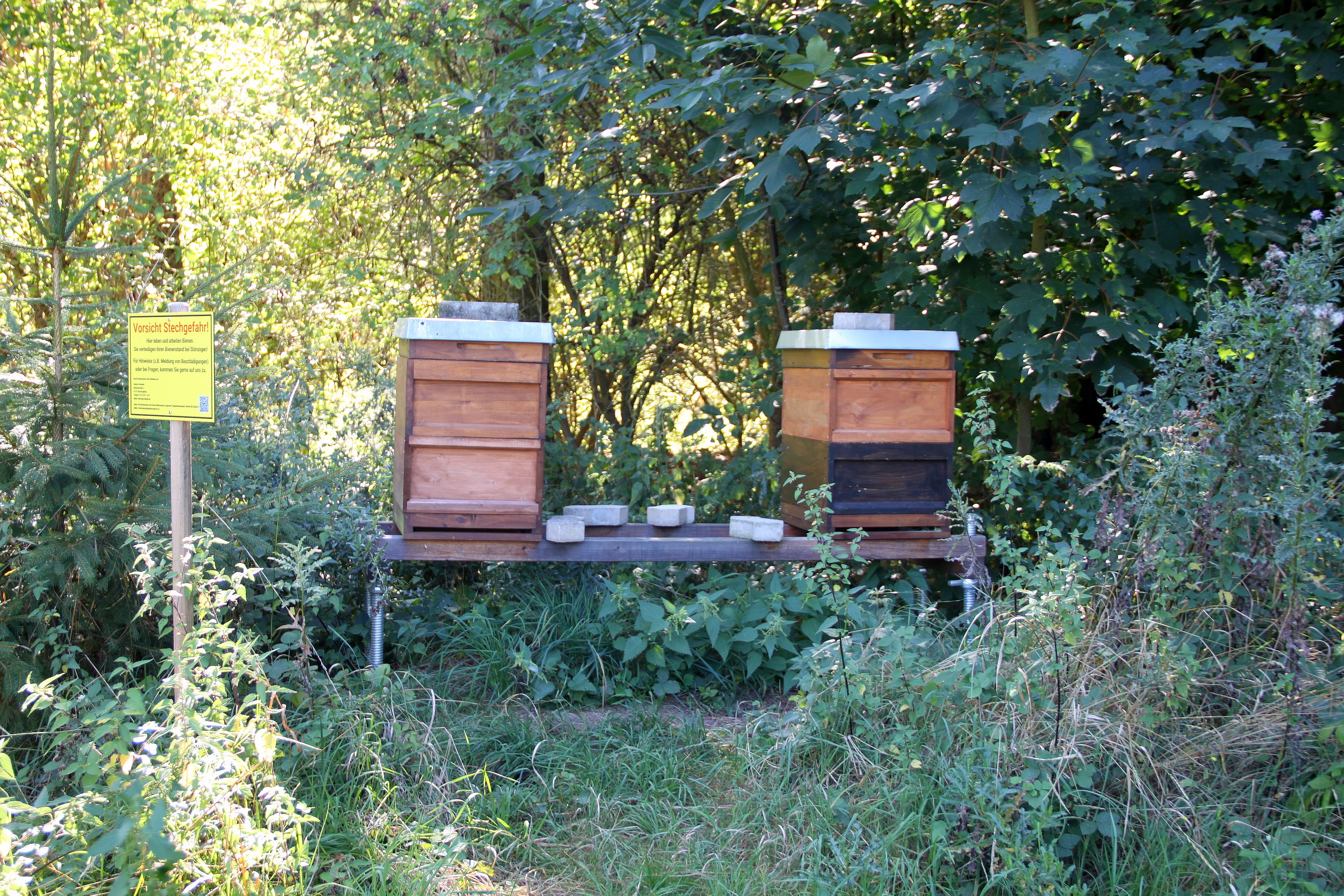 Weitab vom Schuss: die Bienenvölker